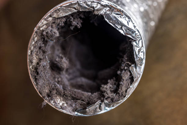 Best Emergency Air Duct Cleaning  in Fuller Heights, FL